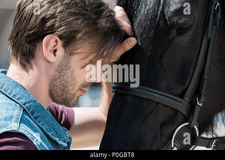 Nahaufnahme der stattlichen bärtiger junger Mann berühren reinrassige braune Pferd im Freien Stockfoto