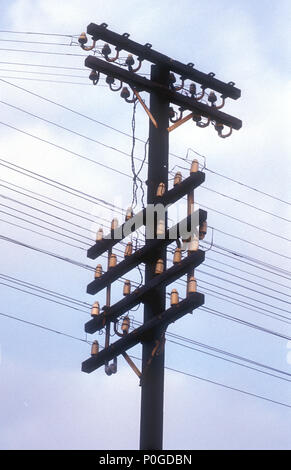 Utility Pole, Sydney, New South Wales, Australien. Stockfoto