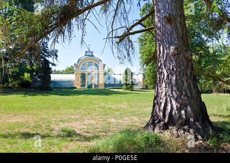 Palmový skleník, zámek Kopidlno, Královéhradecký kraj, Česká republika/Gewächshaus, Kopidlno schloss, Hradec Kralove, Tschechische Republik Stockfoto