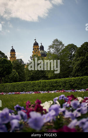 Schöner Blick auf die Theatinerkirche in München der Hofgarten mit schönen gelben Blüten vor an einem sonnigen Tag Stockfoto