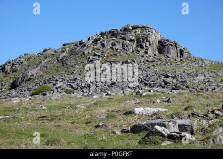 Schafe Tor in der Dartmoor National Park in South Devon Stockfoto