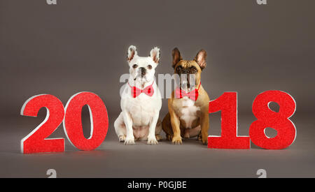 Paar französische Bulldogge mit Bow Tie und 2018 Buchstaben feiern Weihnachten Stockfoto