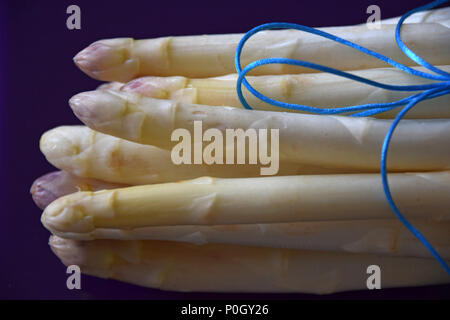 Abstrakte Aussehen der Spargel Makroaufnahme auf lila Hintergrund, weiße Spargel Bündel Stockfoto