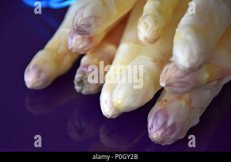 Weiß und lila Köpfe von einem rohen Spargel, Makroaufnahme, weißer Spargel Bündel Stockfoto