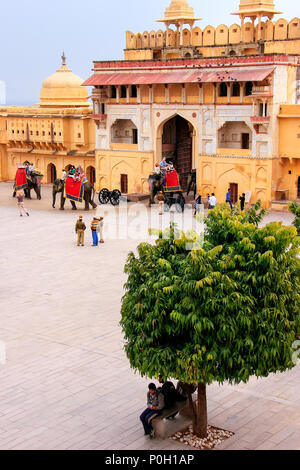 Dekoriert Elefanten eingabe Suraj Pol in Jaleb Chowk (Hof) im Amber Fort, Rajasthan, Indien. Elefantenreiten sind beliebte Touristenattraktion Stockfoto