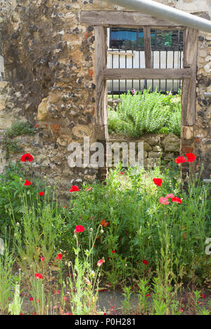 Mohnblumen wachsen neben einer alten Burg Wand Stockfoto