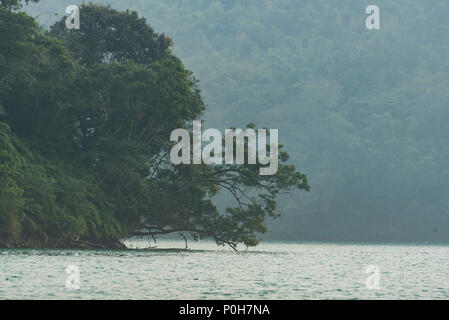 Blick in die Natur, die in der Sun Moon Lake, Taipei Stockfoto