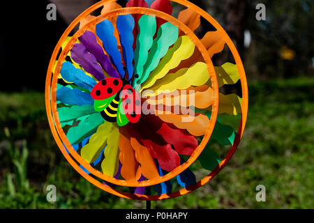 Eine mehrfarbige Mühle Spielzeug. Grünen Garten Hintergrund. Kinder Spielzeug, dekorative und farbenfrohe Windrad spinner Windmühlen mit ein Marienkäfer in der Mitte und Gras mit Blumen im Hintergrund. Stockfoto