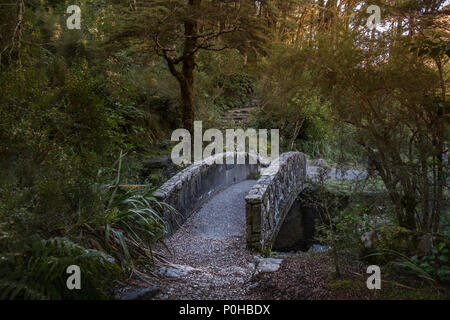 Anschluss in Arthur's Pass National Park, Südinsel von Neuseeland Stockfoto