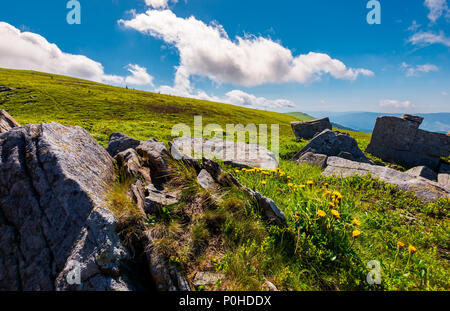 Felsen und Löwenzahn auf dem grasbewachsenen Hügel. Peak von Runa Berge in der Ferne. schönen Sommer Landschaft unter dem blauen Himmel mit Wolken Stockfoto