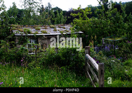 Chatsworth, Großbritannien. 9 Jun, 2018. Heu in der Dales RHS Chatsworth Flower Show, UK. Credit: Athina England/Alamy Leben Nachrichten. Stockfoto