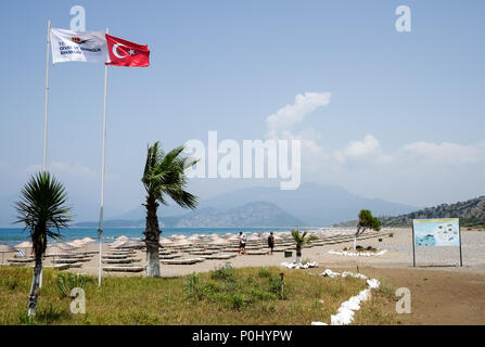 25. Mai 2018, Türkei, Dalyan: eine Türkische Flagge am Iztuzu Strand fliegen. - Keine LEITUNG SERVICE - Foto: Jens Kalaene/dpa-Zentralbild/dpa Stockfoto