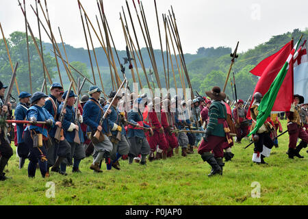 Musketiere und Pikeniere im 17 Jahrhundert militärische Re-enactment der Englischen Bürgerkrieg Schlacht, Großbritannien Stockfoto