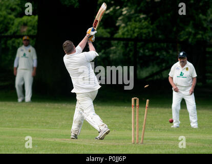 Dorf Kricket auf Claverdon, Warwickshire, England, Großbritannien Stockfoto