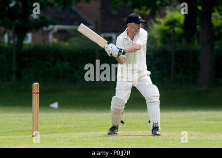 Dorf Kricket auf Claverdon, Warwickshire, England, Großbritannien Stockfoto