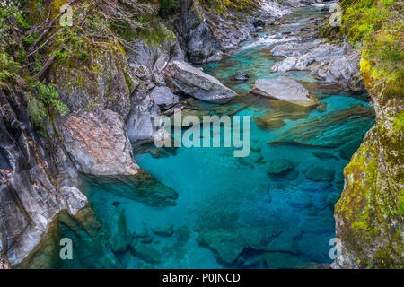 Blue Pools ist die berühmteste Attraktion in den Haast Pass. In der Südinsel Neuseelands. Blue Pool Track ist nur einen kurzen Spaziergang vom State Highway 6, Stockfoto