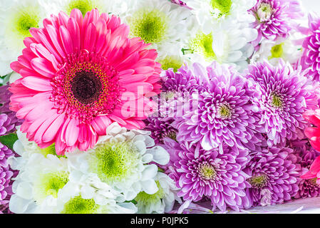 Schönen Blumenstrauß aus Chrysanthemen und Gerbera Blumen Stockfoto