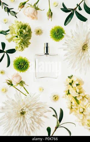 Ansicht von oben Glas Flasche Parfüm umgeben mit Blumen und grüne Zweige auf Weiß Stockfoto