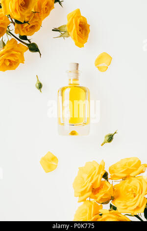 Ansicht von oben Glas Flasche Parfüm und gelbe Rosen auf Weiß Stockfoto