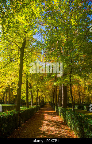 La Isla Gärten im Herbst. Aranjuez, Provinz Madrid, Spanien. Stockfoto