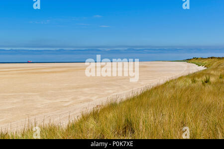 CULBIN STRAND Moray in Schottland Sanddünen bedeckt mit SEEGRAS kilometerlangen Sandstrand und roten Schiff am Horizont Stockfoto