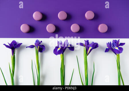 Flach Zusammensetzung von Iris Blumen mit köstlichen Macaron Cookies auf lila und weiß Oberfläche Stockfoto