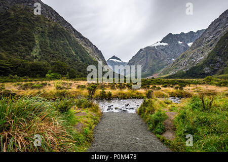 Landschaft rund um Monkey Creek, Milford Sound, Neuseeland Stockfoto