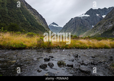 Landschaft rund um Monkey Creek, Milford Sound, Neuseeland Stockfoto