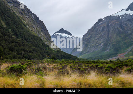 Landschaft rund um Monkey Creek, Milford Sound, Neuseeland Stockfoto