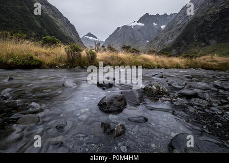 Landschaft rund um Monkey Creek, Milford Sound, Neuseeland Stockfoto