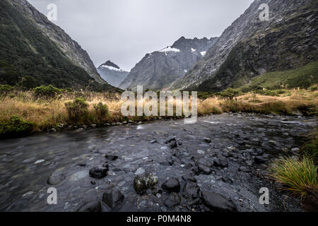 Landschaft rund um Monkey Creek, Milford Sound, Neuseeland Stockfoto