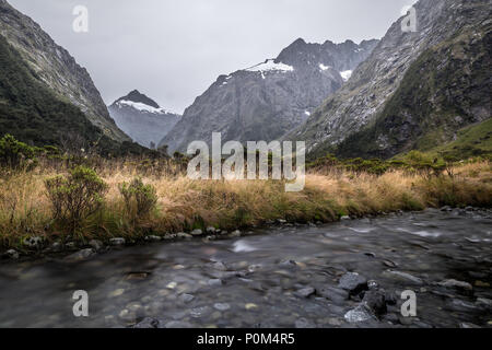 Landschaft rund um Monkey Creek, Milford Sound, Neuseeland Stockfoto