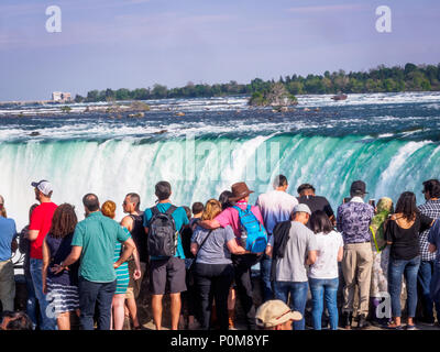 Touristen Horseshoe beobachten fällt von einem Aussichtspunkt an der kanadischen Seite. Niagara Falls, Ontario, Kanada Stockfoto