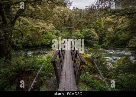 Anschluss am Lake Marian fallen in den Fiordland National Park, Milford Sound, Neuseeland Stockfoto