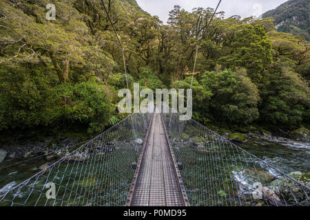 Anschluss am Lake Marian fallen in den Fiordland National Park, Milford Sound, Neuseeland Stockfoto