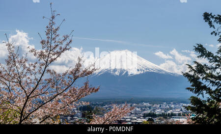 Schöne Aussicht auf den Berg Fuji, bedeckt mit Schnee an einem sonnigen Tag, mit blühenden Baum im Vordergrund, Japan Stockfoto
