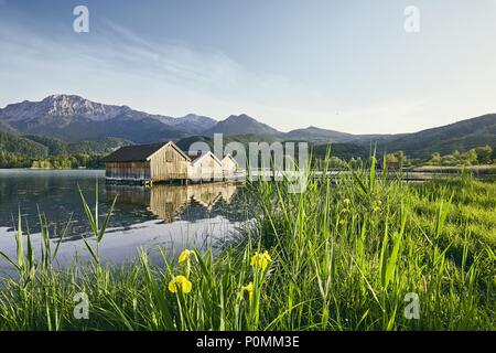 Blick auf Frühling Landschaft mit bootshäuser am Kochelsee - Bayern, Deutschland Stockfoto
