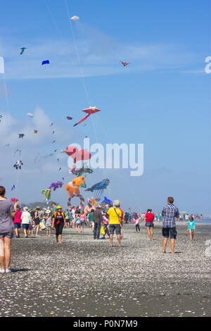 Otaki, Neuseeland - 5. März, 2016: Personen, die die jährliche Otaki Kite Festival im Sommer auf der schönen Kapiti Küste von Neuseeland statt. Stockfoto