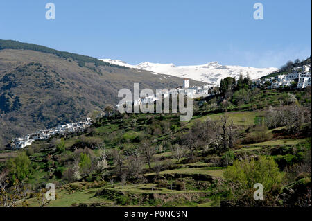 Das malerische Dorf Capileira Alpujarran in seiner herrlichen Lage hoch oben in die schneebedeckten Berge der Sierra Nevada in Spanien Andalusien. Stockfoto