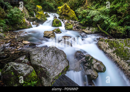 Lake Marian fallen in den Fiordland National Park, Milford Sound, Neuseeland Stockfoto