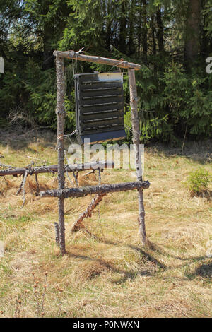 Box mit Insekten Pheromone in den Wald, Trap für große Fichte Borkenkäfer. Stockfoto