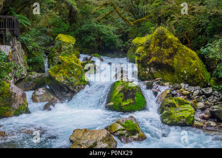 Lake Marian fallen in den Fiordland National Park, Milford Sound, Neuseeland Stockfoto