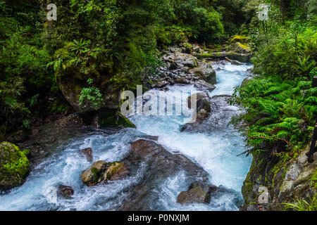 Lake Marian fallen in den Fiordland National Park, Milford Sound, Neuseeland Stockfoto