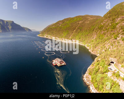 Foto der Fischzucht in Norwegen. Blaues Meer und Berge mit Vegetation. Luftaufnahme. Ansicht von oben. Stockfoto