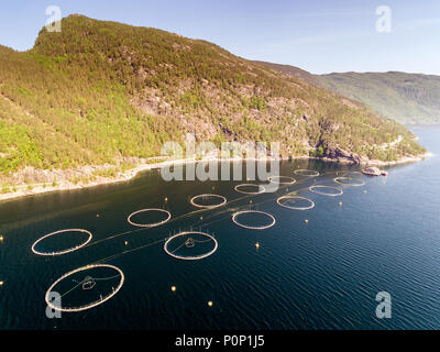 Foto der Fischzucht in Norwegen. Blaues Meer und Berge mit Vegetation. Luftaufnahme. Ansicht von oben. Stockfoto