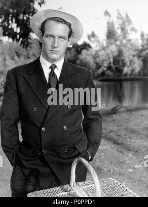 Stars: Paul Newman. Stockfoto