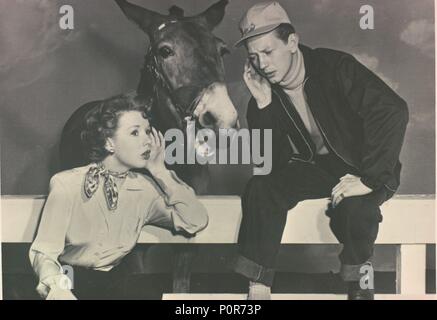 Original Film Titel: FRANCIS GEHT AN DAS RENNEN. Englischer Titel: FRANCIS GEHT AN DAS RENNEN. Regisseur: Arthur Lubin. Jahr: 1951. Stars: Donald O'Connor; PIPER LAURIE. Quelle: UNIVERSAL PICTURES/Album Stockfoto