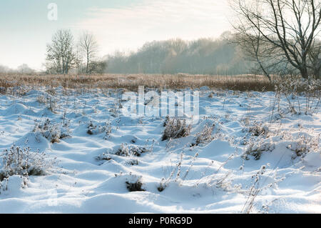 Schneebedeckte Bäume und Gras, Schnee liegt auf den Feldern, winter Bereich Landschaft Stockfoto
