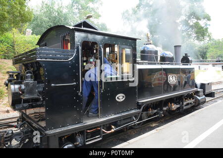 Puffing Billy, Australiens Premier Steam Railway erhalten, Melbourne Stockfoto