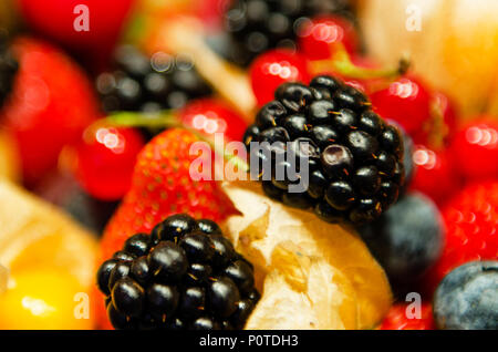 Beeren Hintergrund. Brombeeren, Erdbeeren, Heidelbeeren, Himbeeren, Preiselbeeren, Viburnum, Kirschen, Bananen Stockfoto